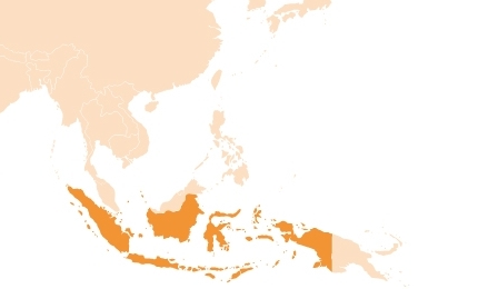 Indonesia - Update on Submission of Cosmetic Notifications