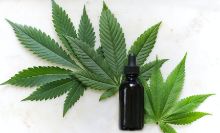 CBD Interest for Defence