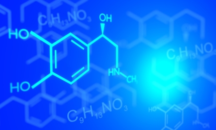 DBT's UK Chemicals Supply Chain Catalogue