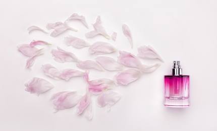 Do you Need Help With the new Requirements for Allergens in the EU?