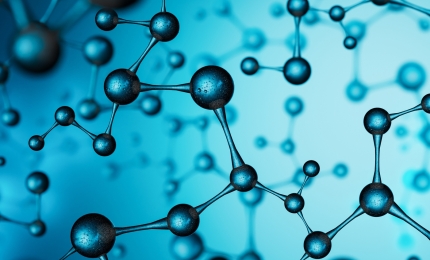 OPSS Survey on the Impact of the Draft Regulation on Kojic Acid