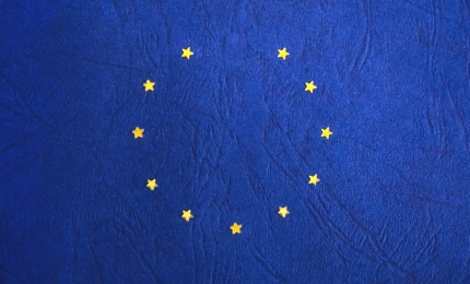 EU Safety Gate Alerts September 2024