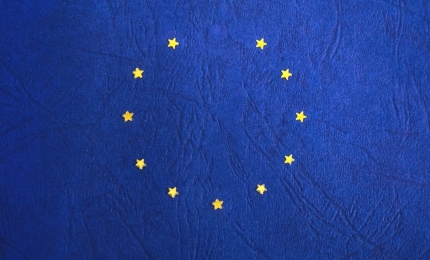 EU Safety Gate Alerts November 2024