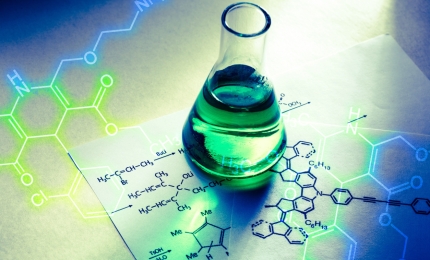 How Do you Carry Out Environmental Safety Assessment?