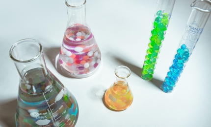 European Chemical Agency (ECHA) and Health and Safety Executive (HSE) Update: December 2024