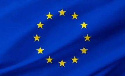 EU Safety Gate Alerts January 2025