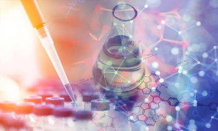 Joint Position Paper on the Overarching Principles for Moving Towards Animal-Free Safety Assessment for Chemicals