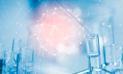SAG-CS Publishes 2025 Workplan