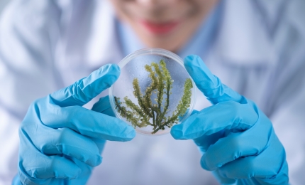 VUB Course ‘Introduction to Environmental Safety of Cosmetics’