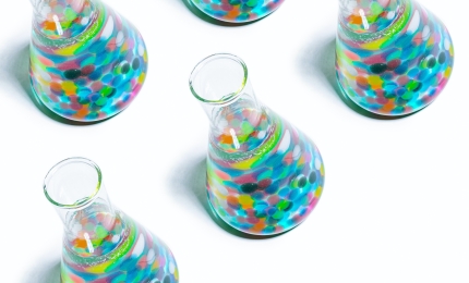 European Chemical Agency (ECHA) and Health and Safety Executive (HSE) Update: June 2025