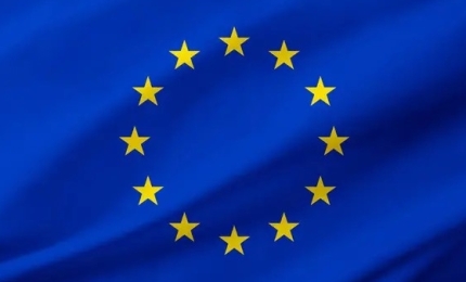 EU Safety Gate Alerts August 2025