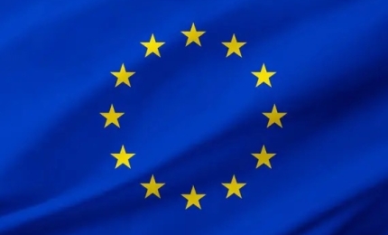 EU Safety Gate Alerts October 2025 