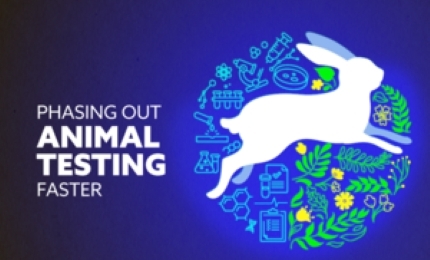 CTPA welcomes the UK Government’s publication of its strategy to accelerate the uptake of Non-Animal New Approach Methodologies (NAMs) for chemical safety assessment