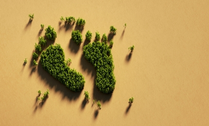 UK Deforestation Regulations
