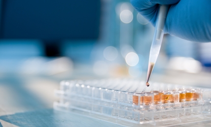 European Chemical Agency (ECHA) and Health and Safety Executive (HSE) Update: September 2026