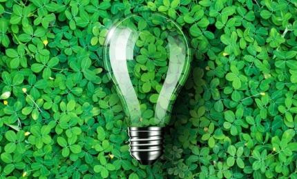 New CAP Guidance on Environmental Claims in Advertising