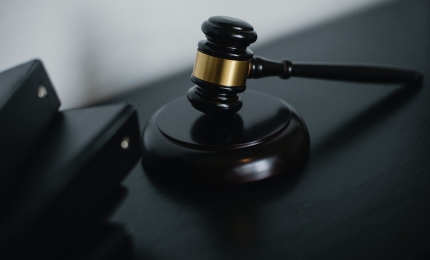UK EA Enforcement Project on Perfluorononyl Dimethicone