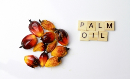 Sustainable Palm Oil: a Resource for the Cosmetics Industry to Achieve Environmental and Social Goals