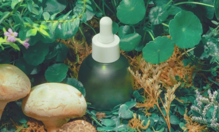 Green Claims: How to Successfully Communicate Environmental Credentials